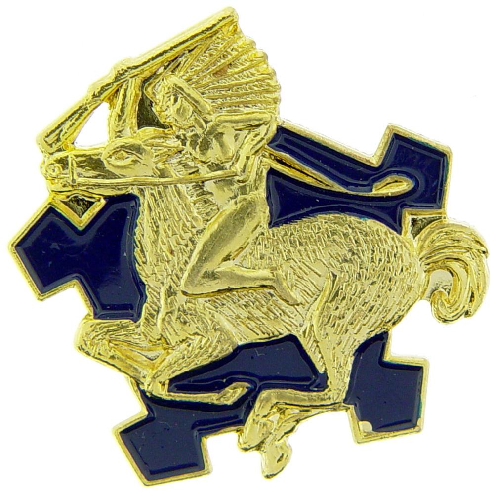 U.S. Army 9th Cavalry Regiment Pin 1"