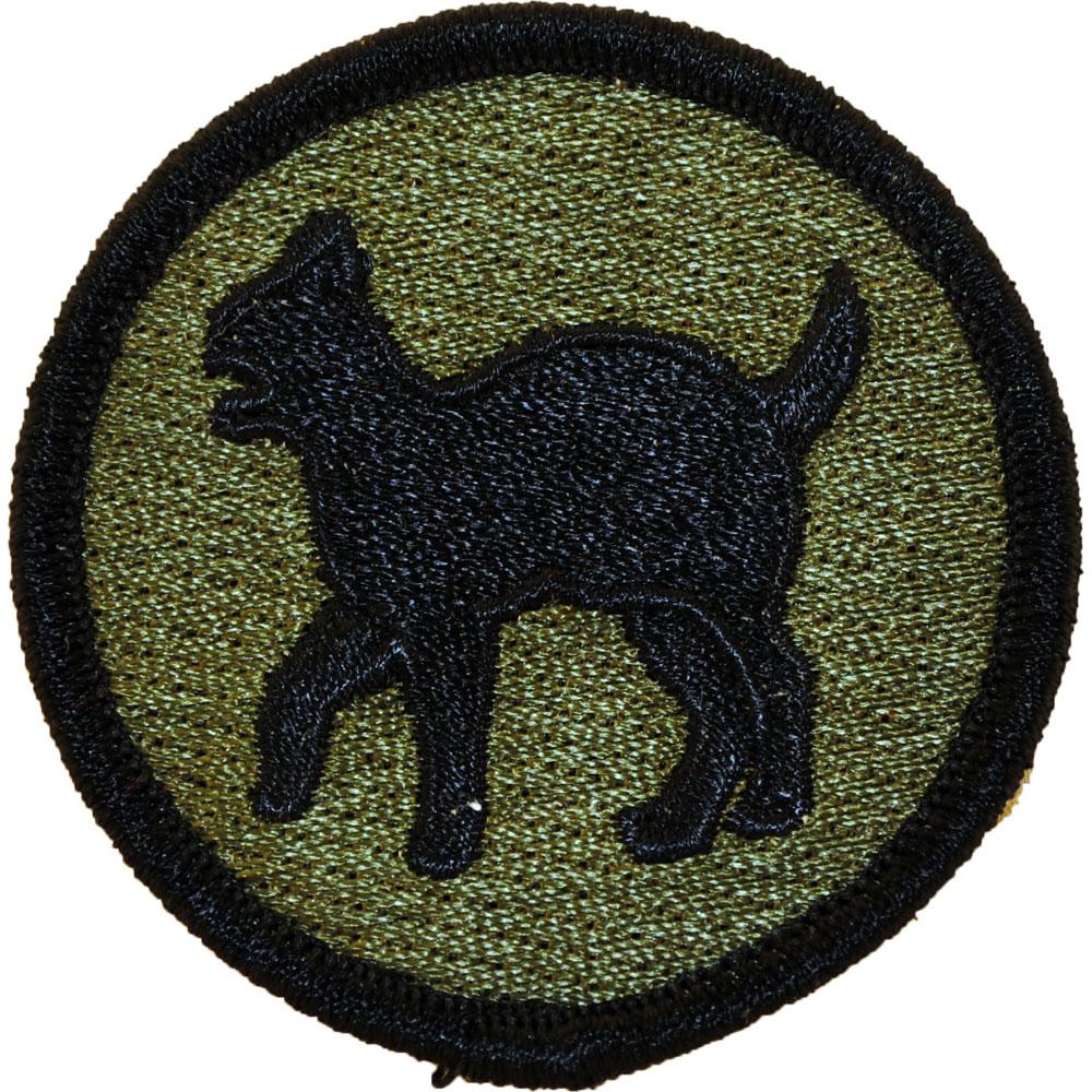 U.S. Army 81st Regional Readiness Command Patch Green