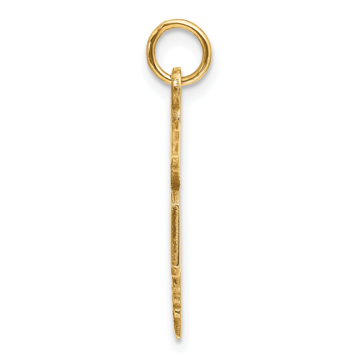 14K Yellow Gold MD Caduceus Charm