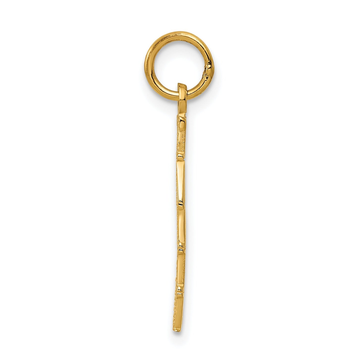 14K Gold Taken Charm