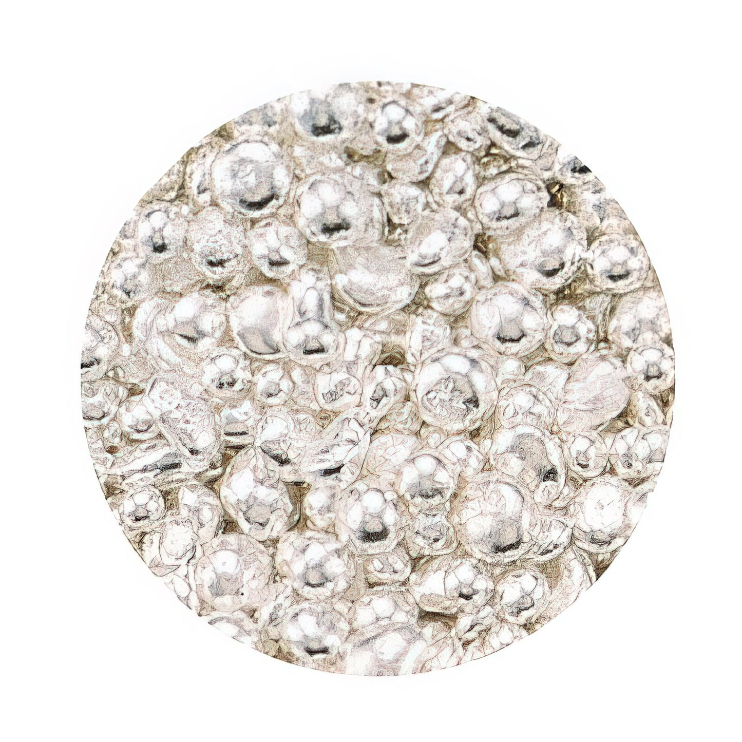 Silver Sterling White Casting Grain 1 Gram