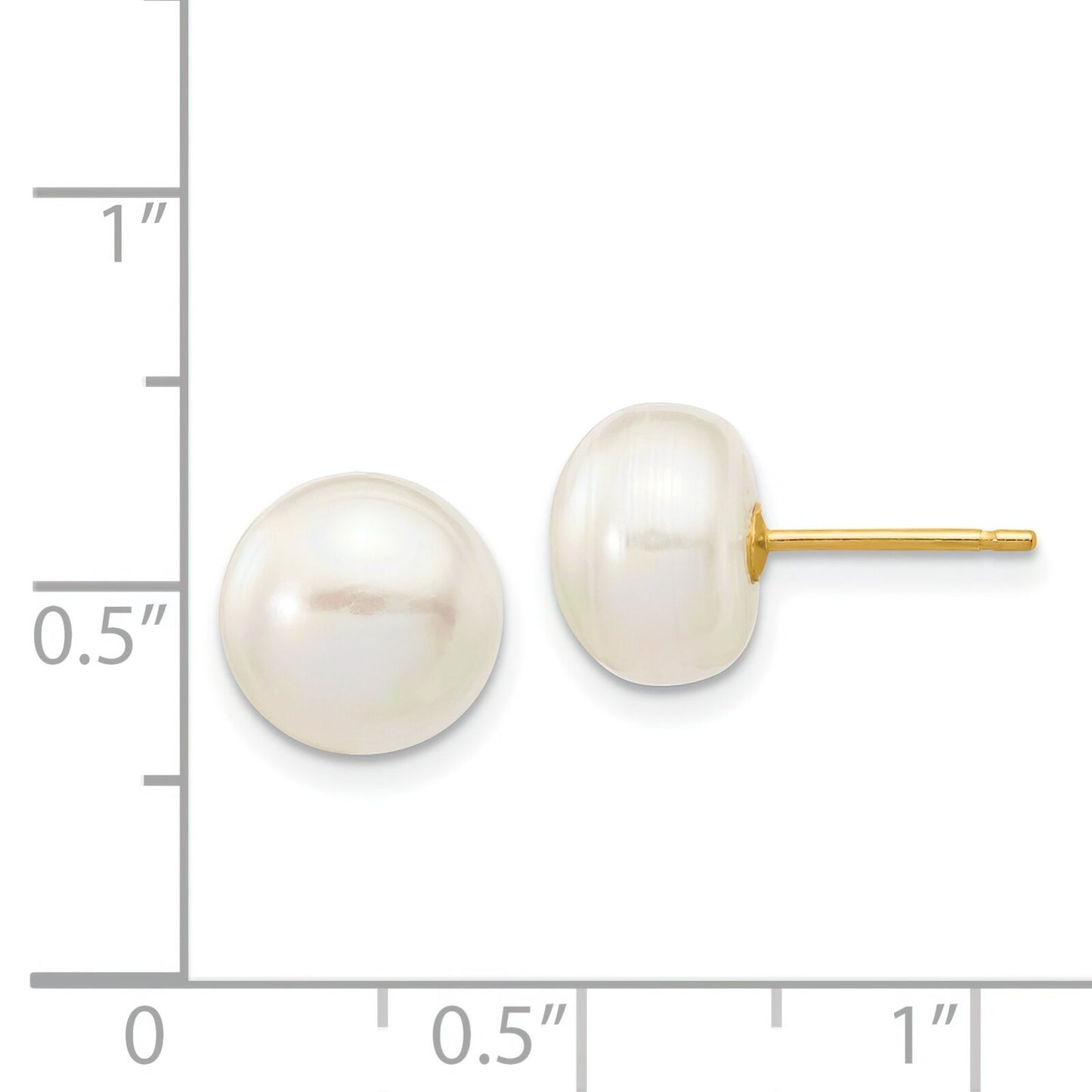 14K Gold Button Cultured Pearl Stud Earrings 8-8.5mm