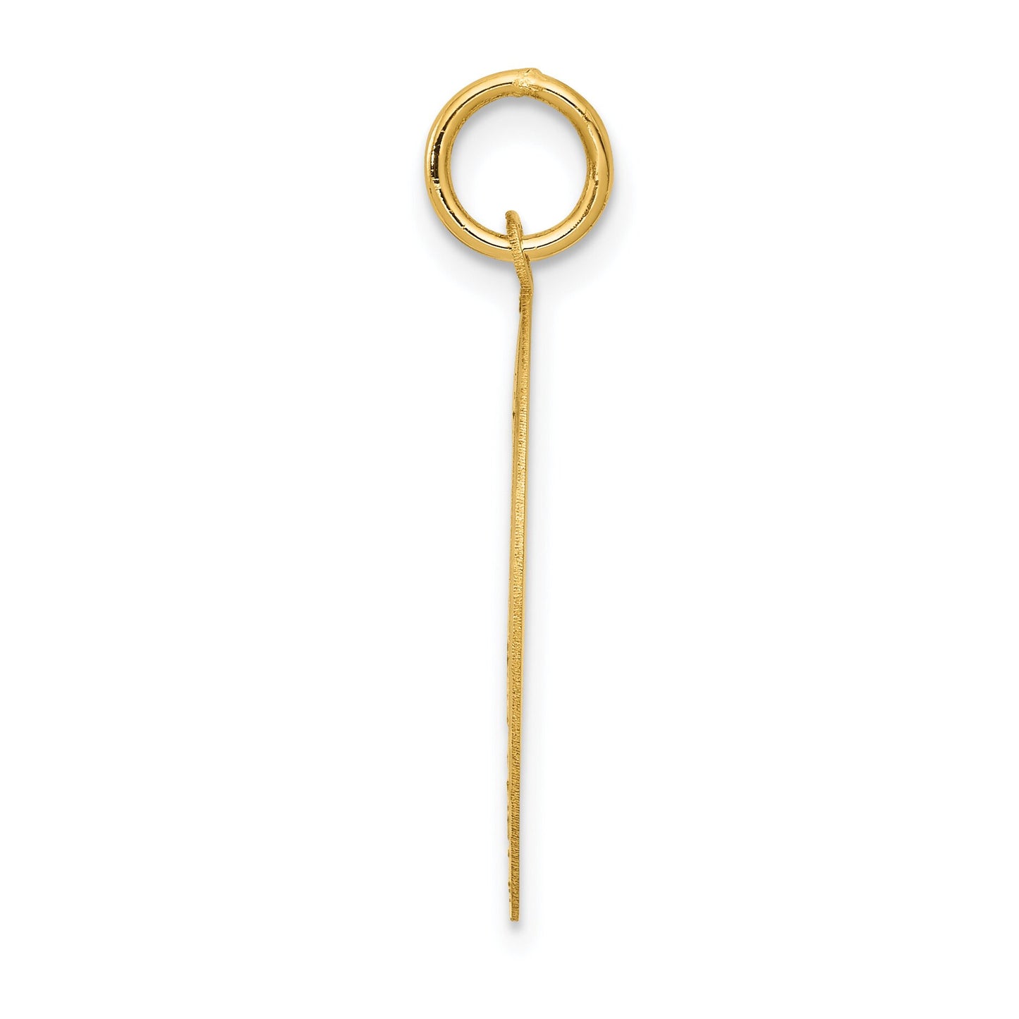 14K Gold Pug Disc Charm
