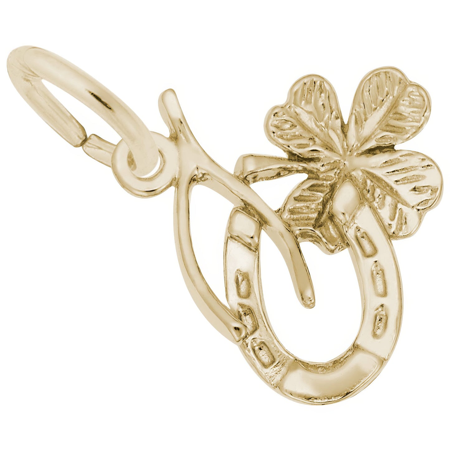 Charms Sterling Silver Symbols of Luck Charm