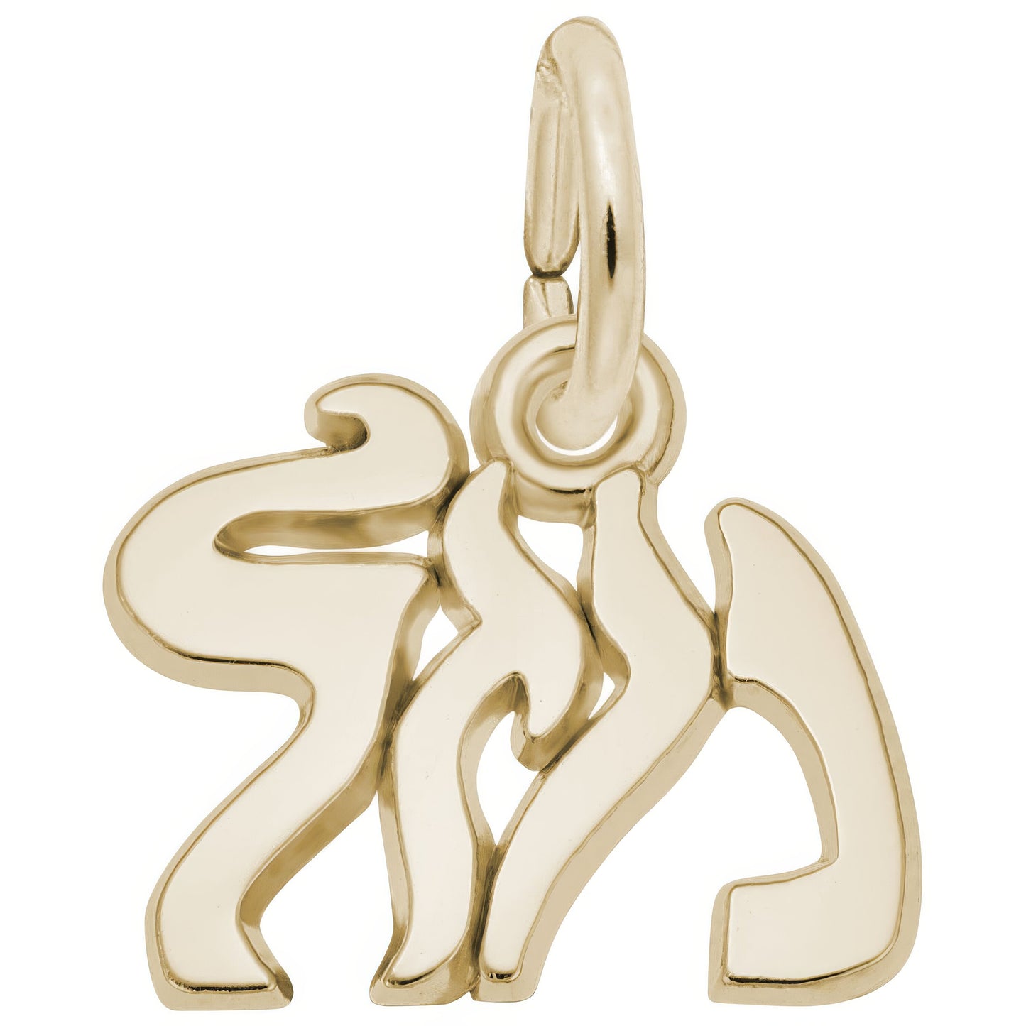 Mazel Charm - Metal - Sterling Silver