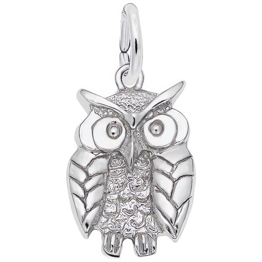 Sterling Silver Wise Owl Charm - 15mm x 12mm