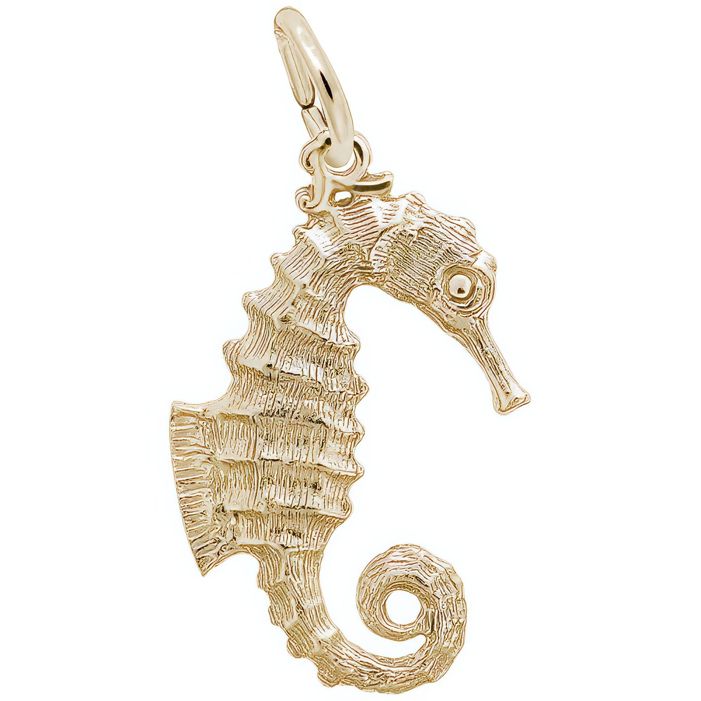 Curly Tail Seahorse Charm - Metal - Sterling Silver
