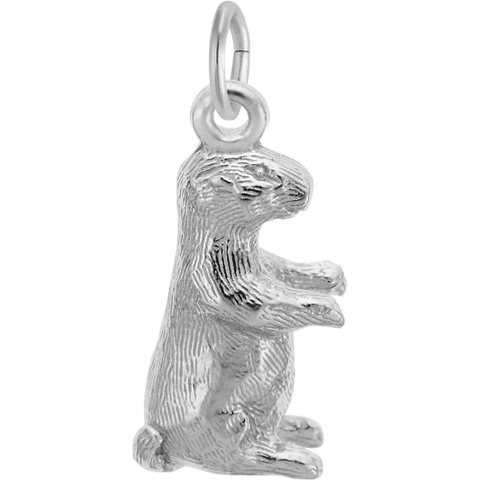 Groundhog Charm - Metal - Sterling Silver