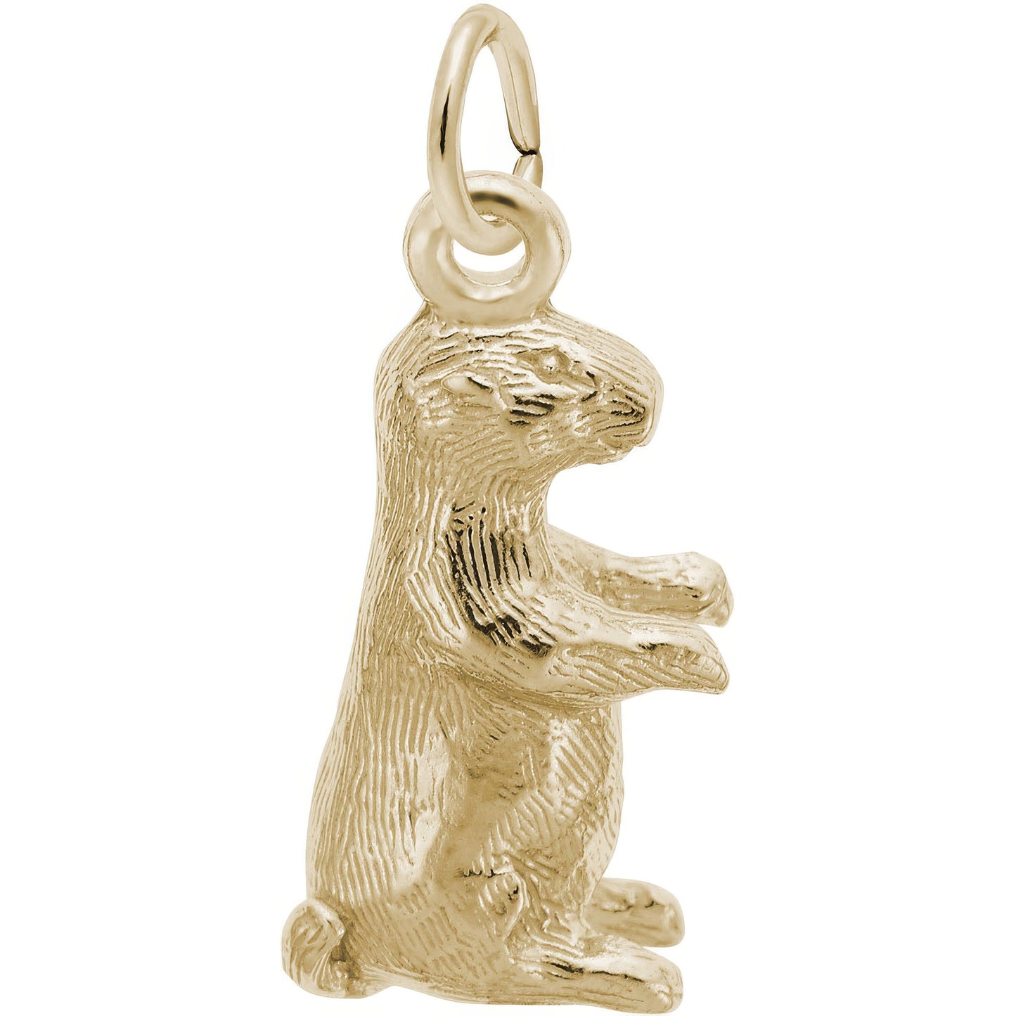 Groundhog Charm - Metal - Sterling Silver