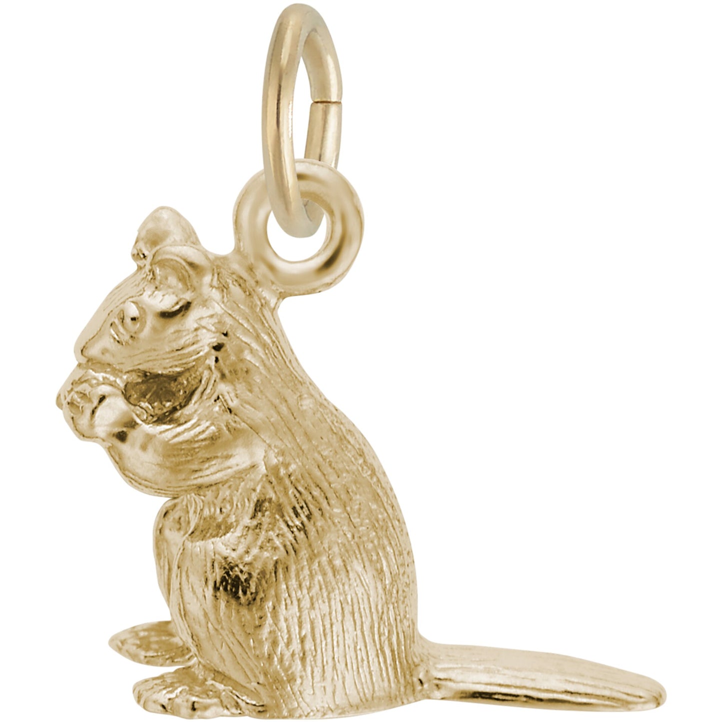 Chipmunk Charm - Metal - Sterling Silver