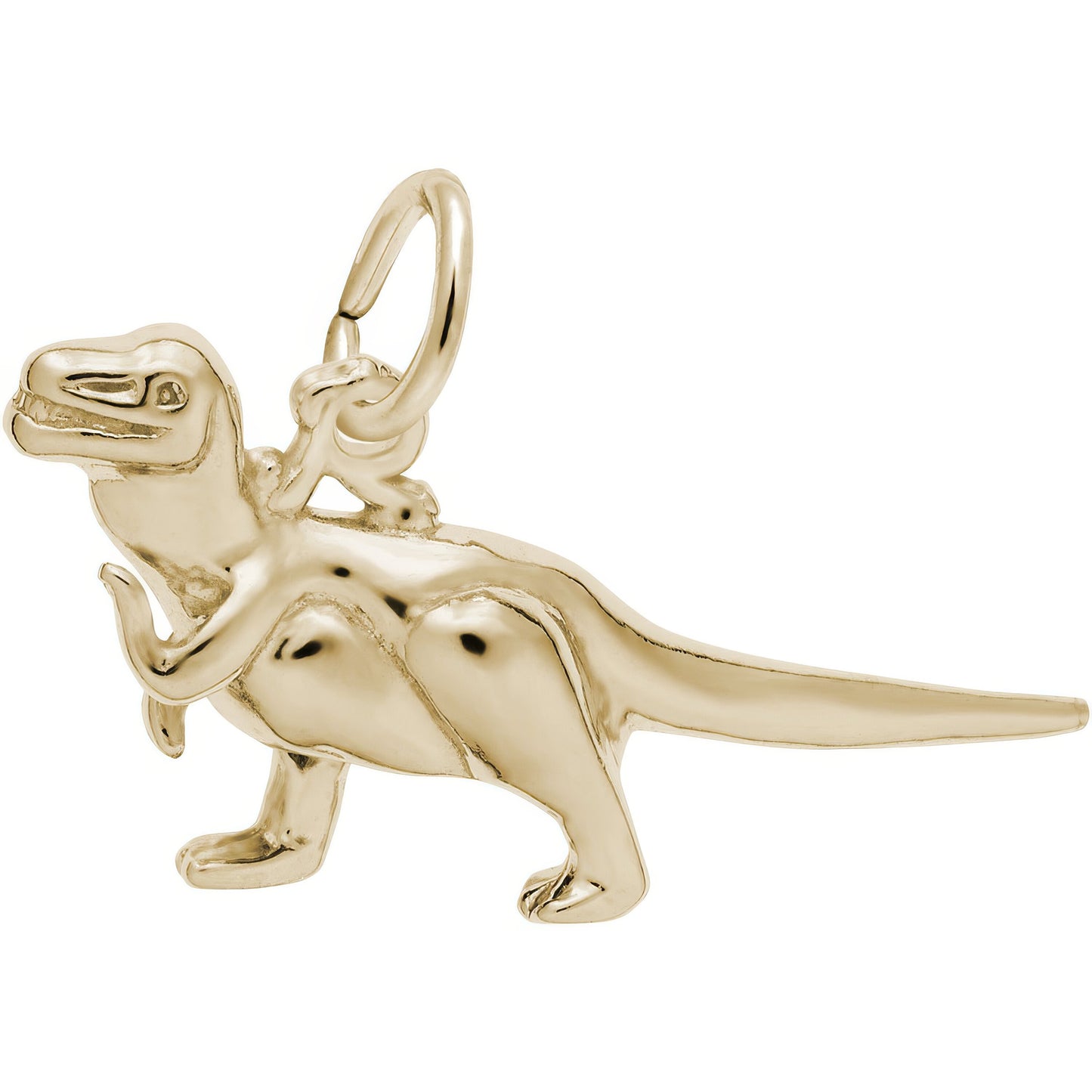 Tyrannosaurus Rex Charm - Metal - Sterling Silver