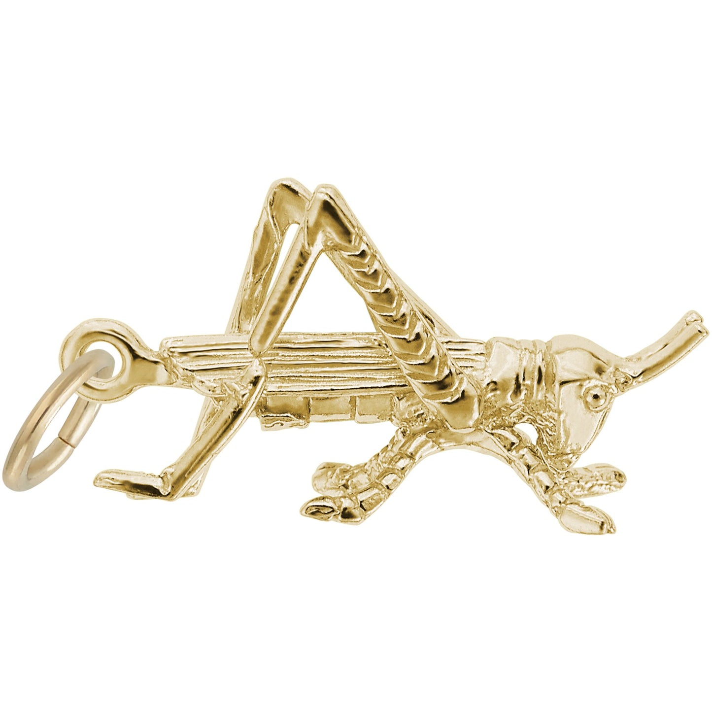 Grasshopper Charm - Metal - Sterling Silver