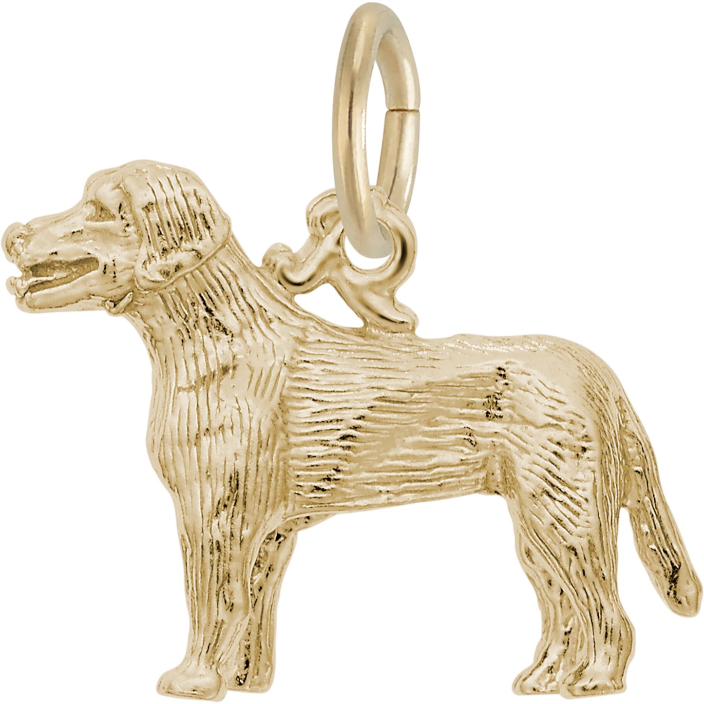 Sterling Silver Labrador Charm - 15mm x 19mm