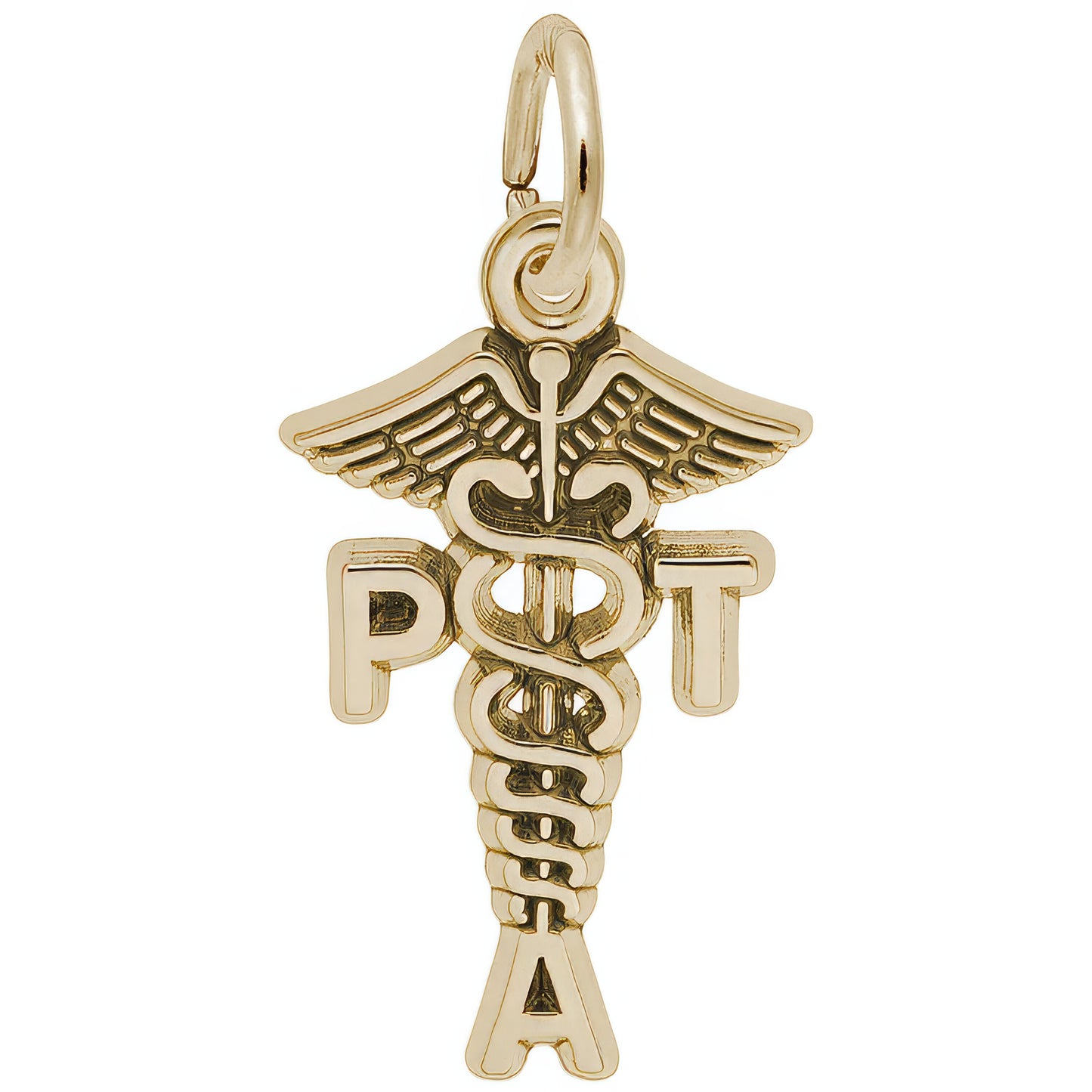 Physical Therapist Assistant Caduceus Charm - Metal - Sterling Silver