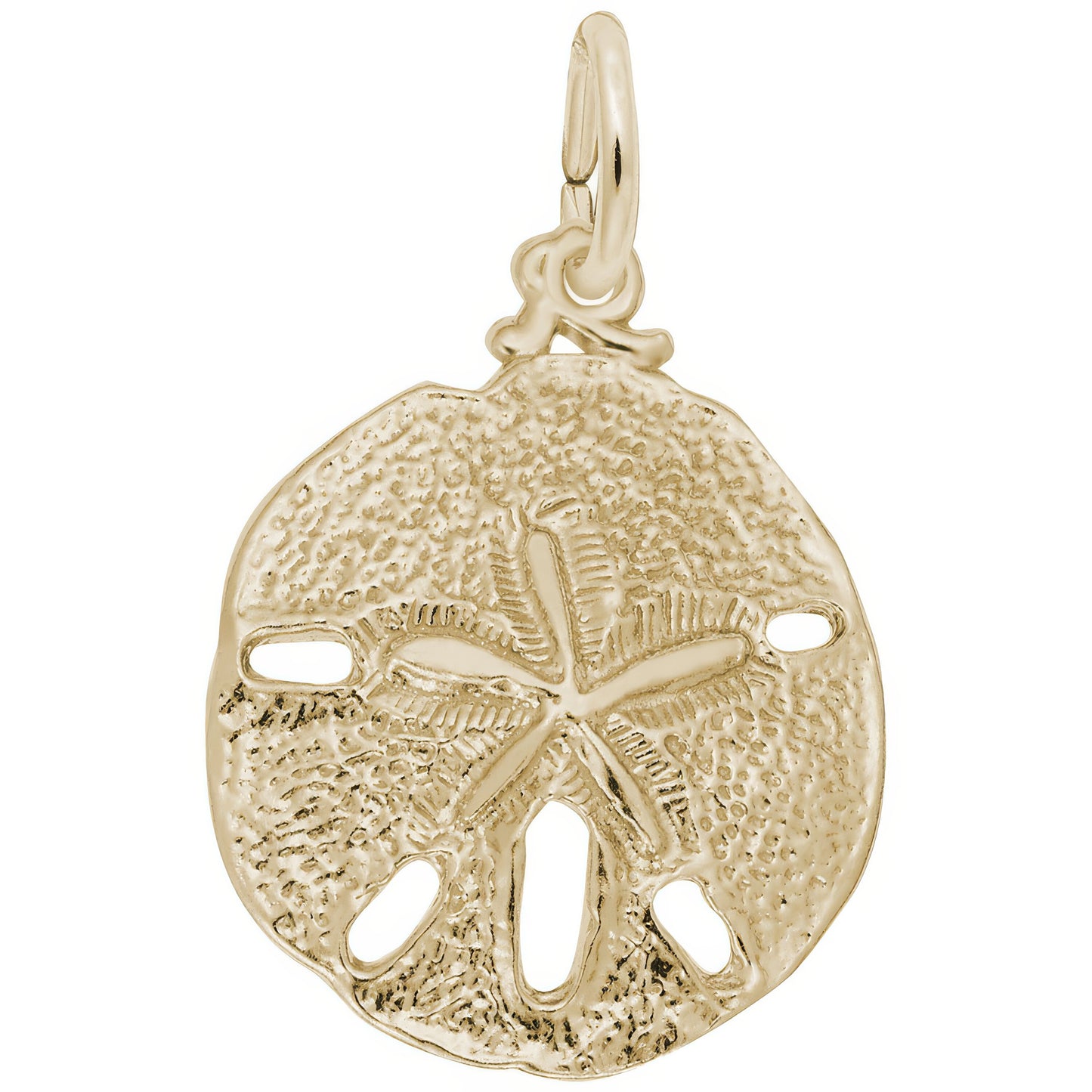 Detailed Classic Sand Dollar Charm - Metal - Sterling Silver