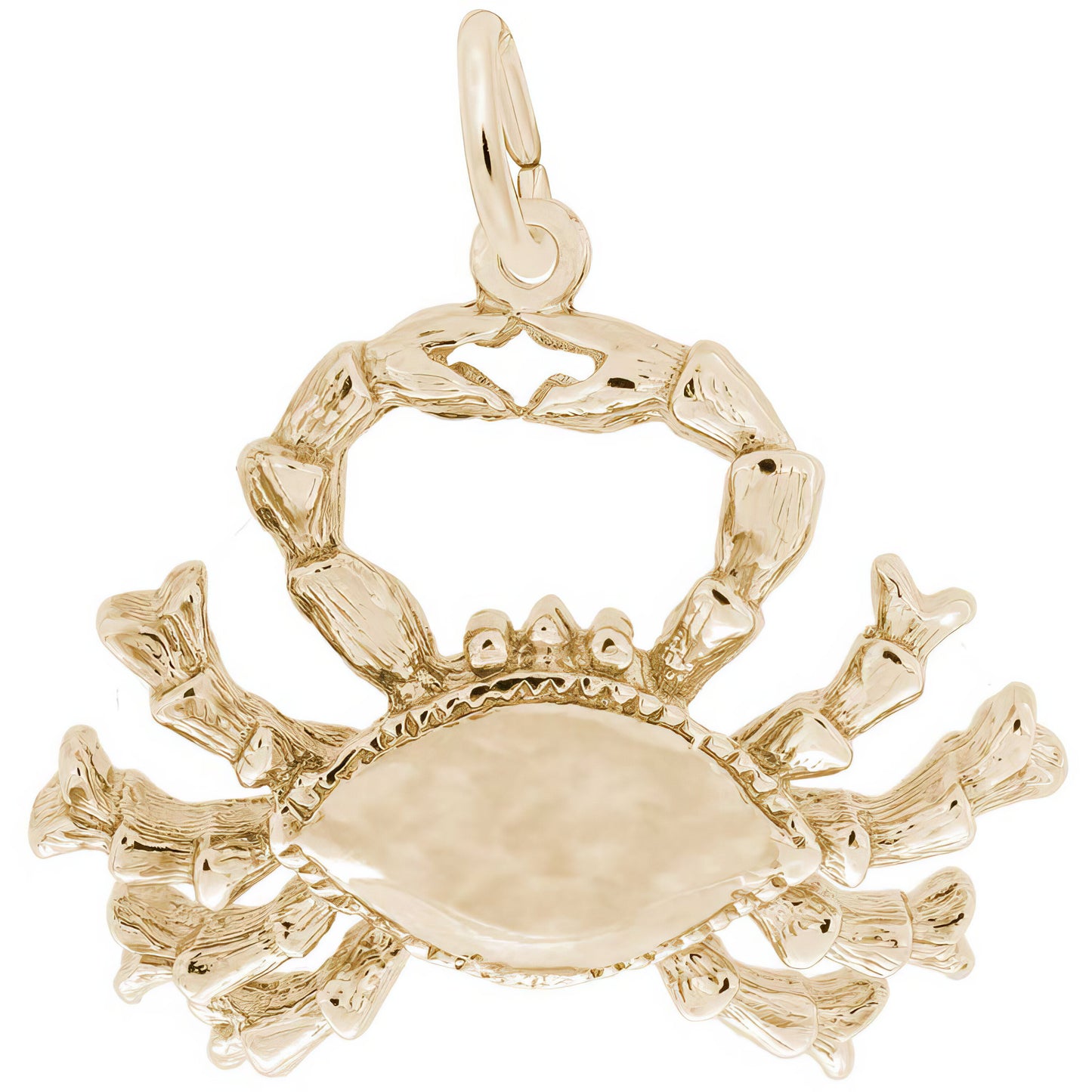 Cancer Charm, Sterling Silver