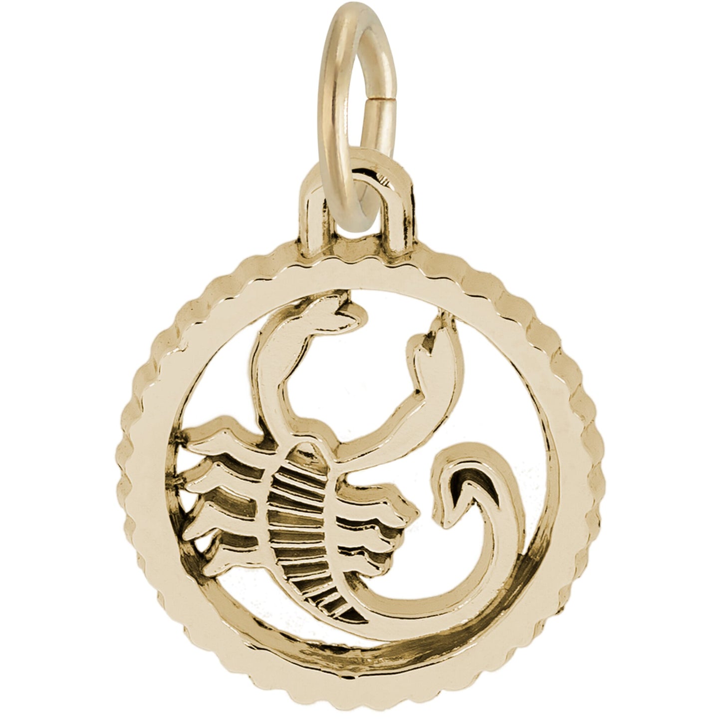 Scorpio Charm, Sterling Silver