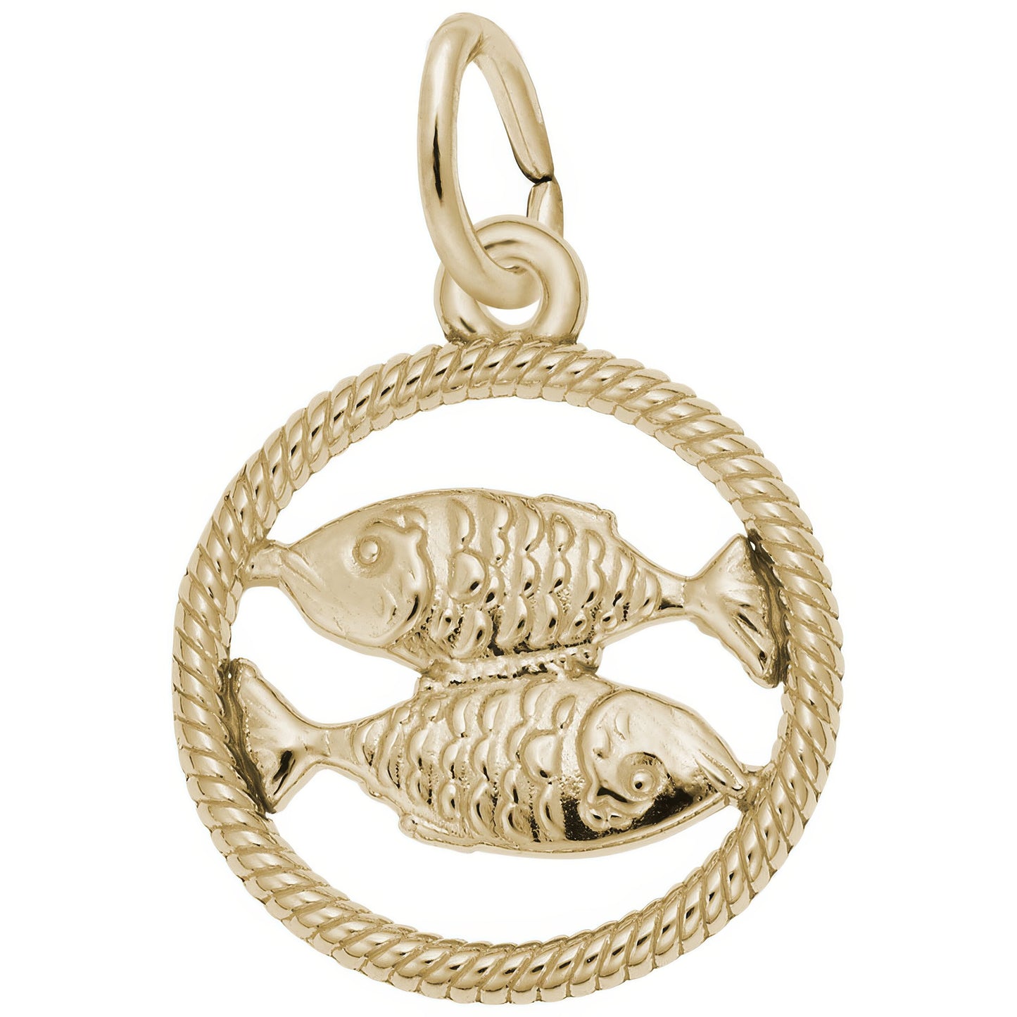 Charms Sterling Silver Zodiac Pisces Charm