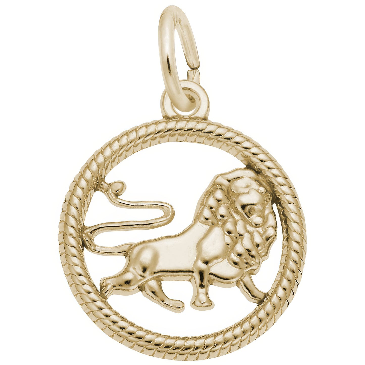 Sterling Silver Zodiac Leo Charm