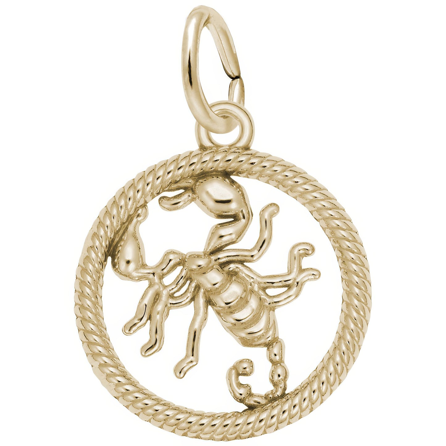 Sterling Silver Zodiac Scorpio Charm