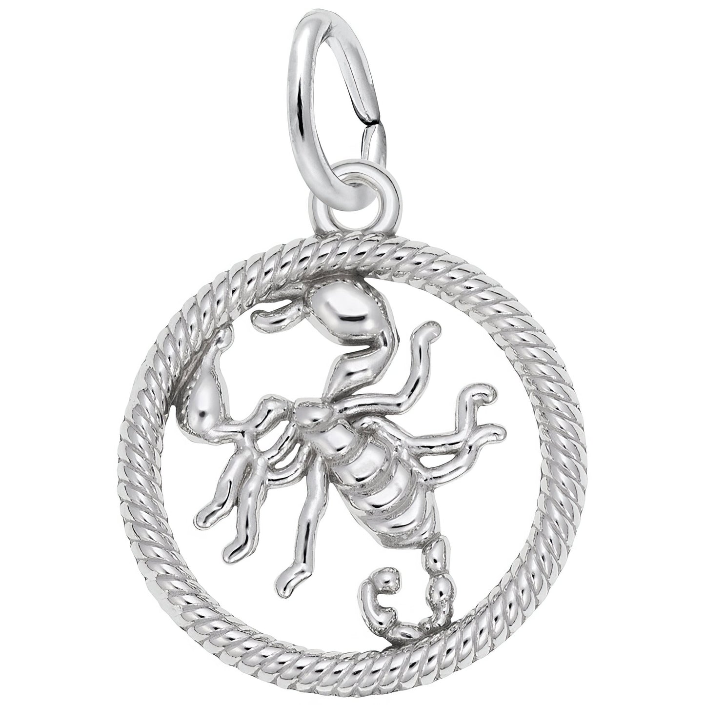 Sterling Silver Zodiac Scorpio Charm