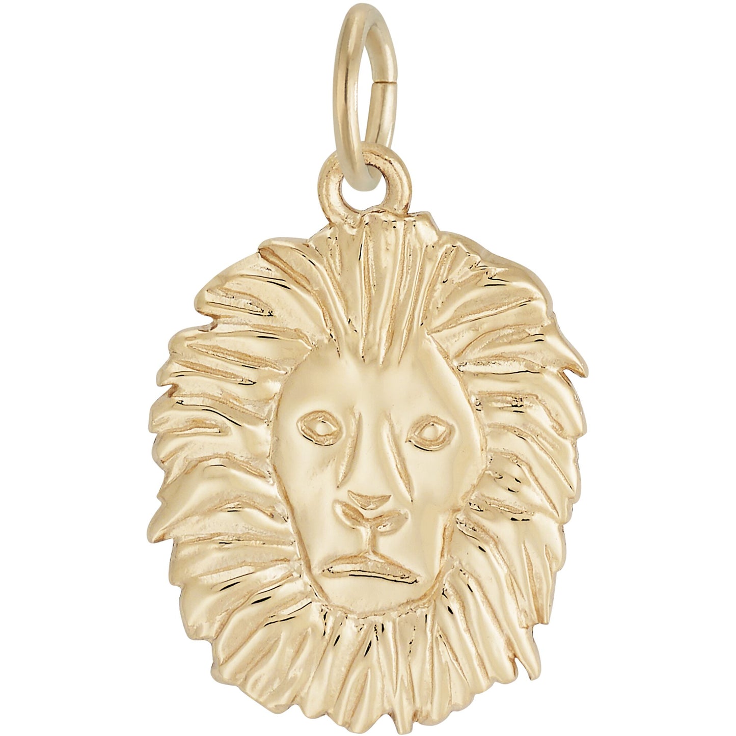 Lion Head Charm - Metal - Sterling Silver