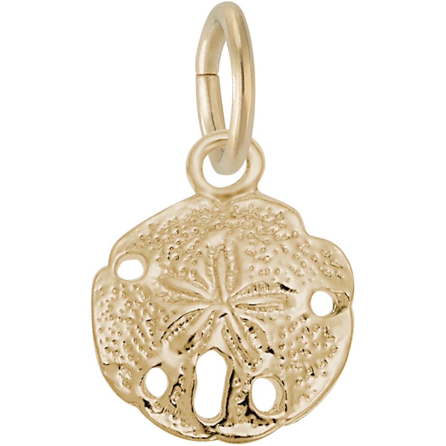 Detailed Sand Dollar Charm - Metal - Sterling Silver
