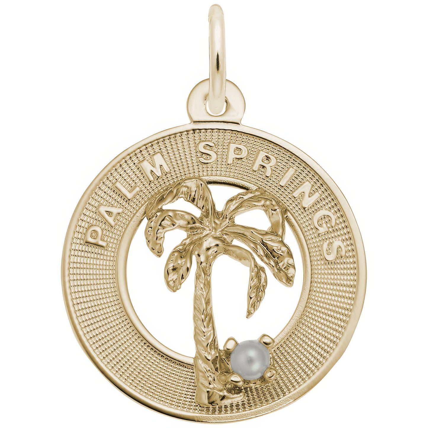 Sterling Silver Palm Springs Charm - 19mm x 19mm