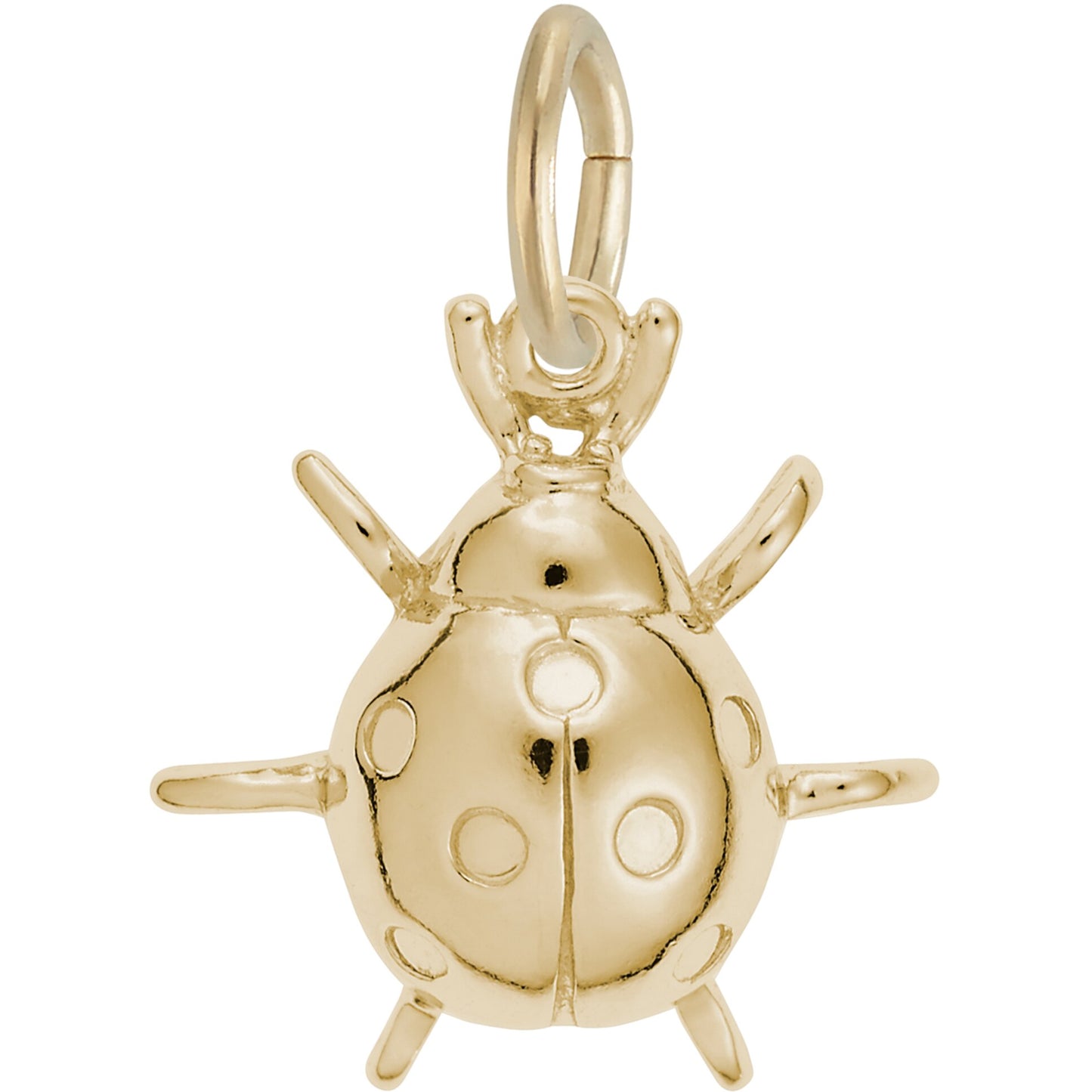 Detailed Ladybug Charm - Metal - Sterling Silver
