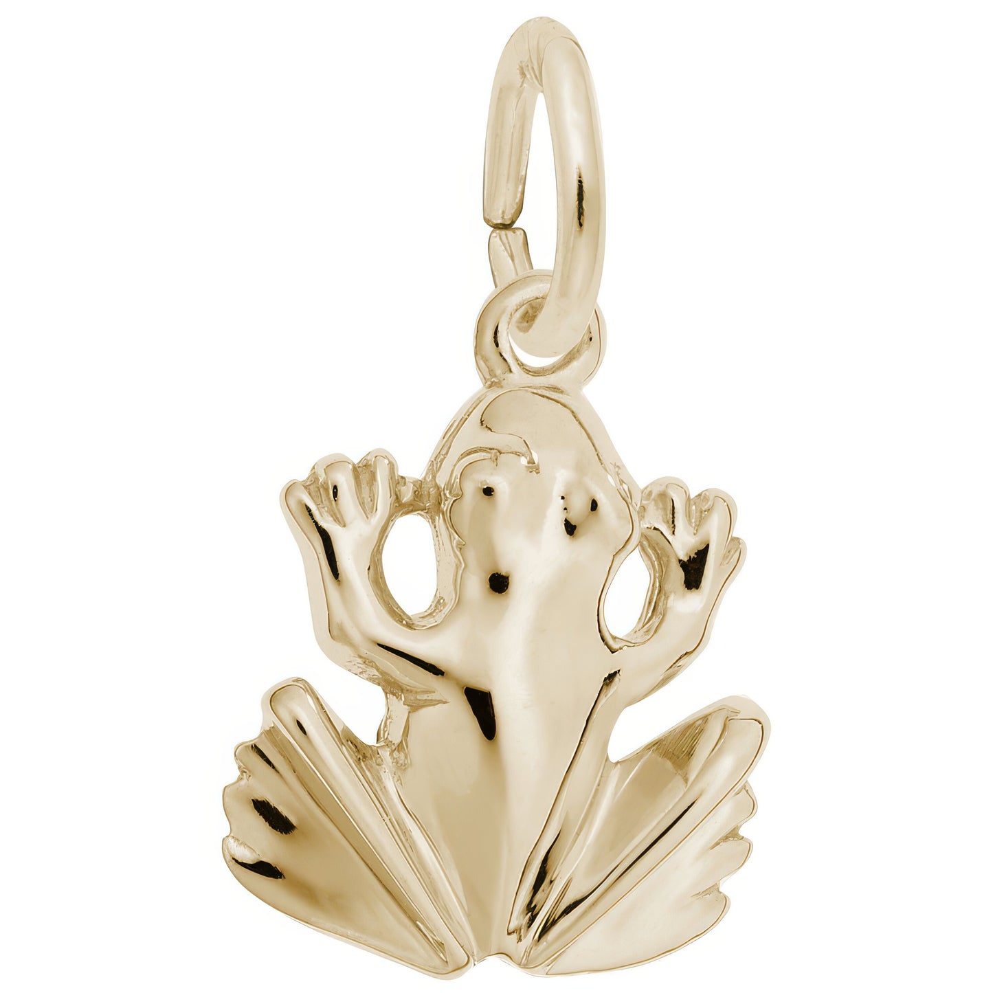 Sterling Silver Frog Charm