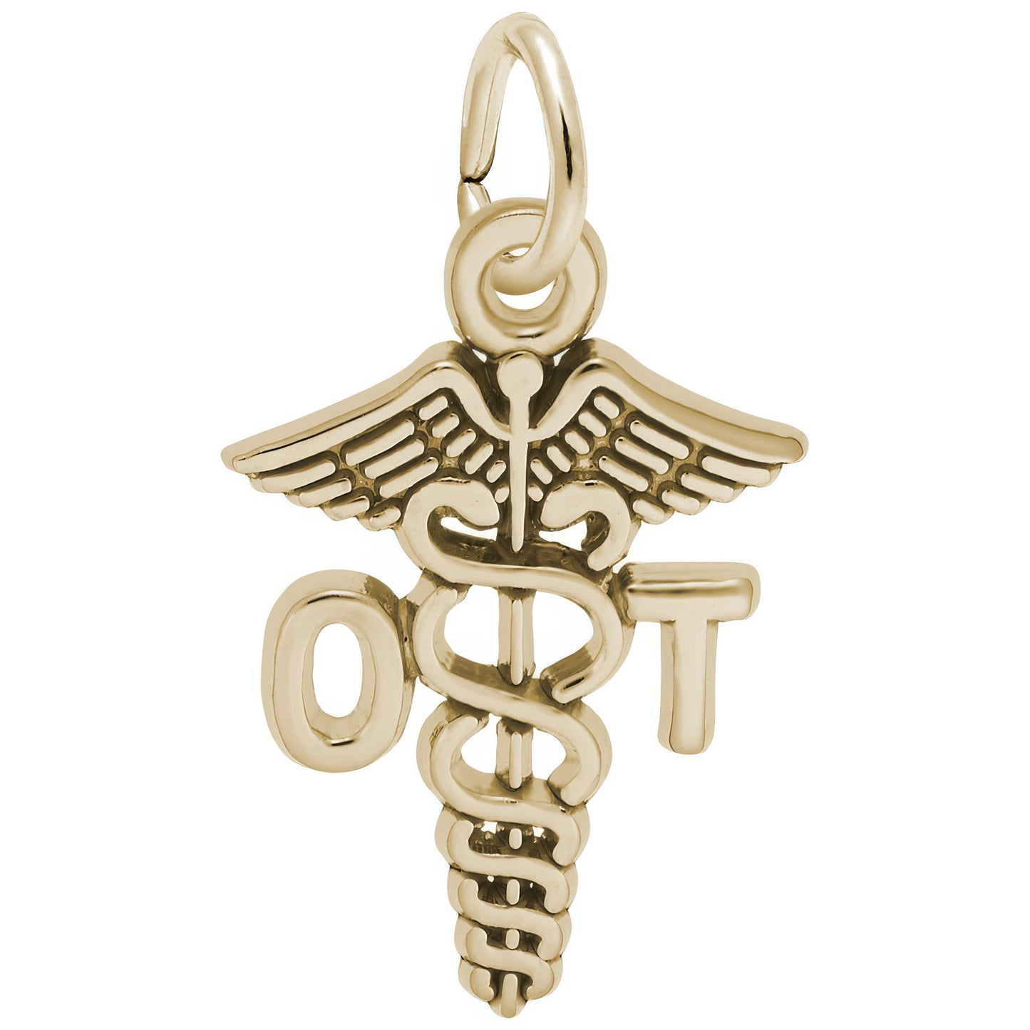 Occupational Therapist Caduceus Charm - Metal - Sterling Silver