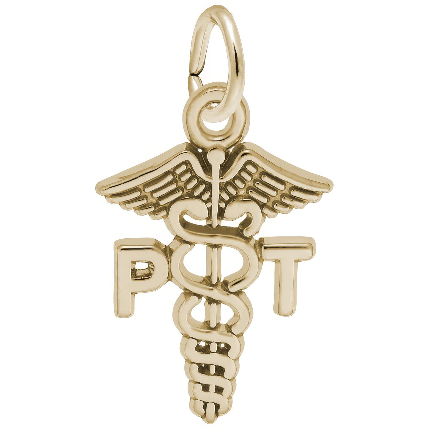 Physical Therapist Caduceus Charm - Metal - Sterling Silver