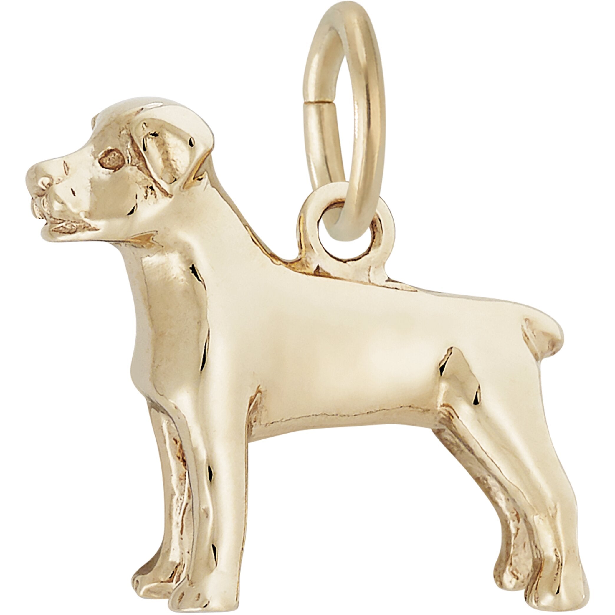 Rottweiler Dog Charm - Metal - Sterling Silver – FindingKing