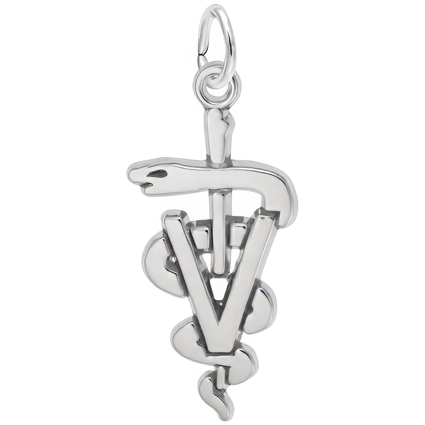 Sterling Silver Veterinarian Charm