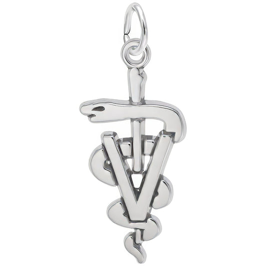 Sterling Silver Veterinarian Charm