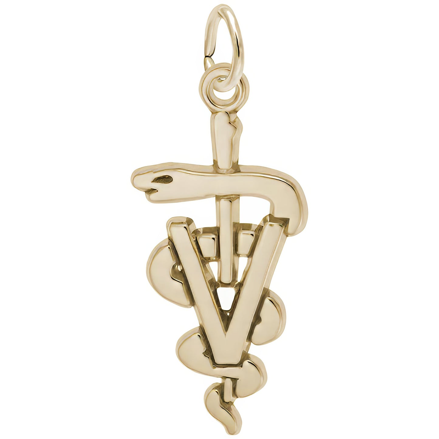 Sterling Silver Veterinarian Charm