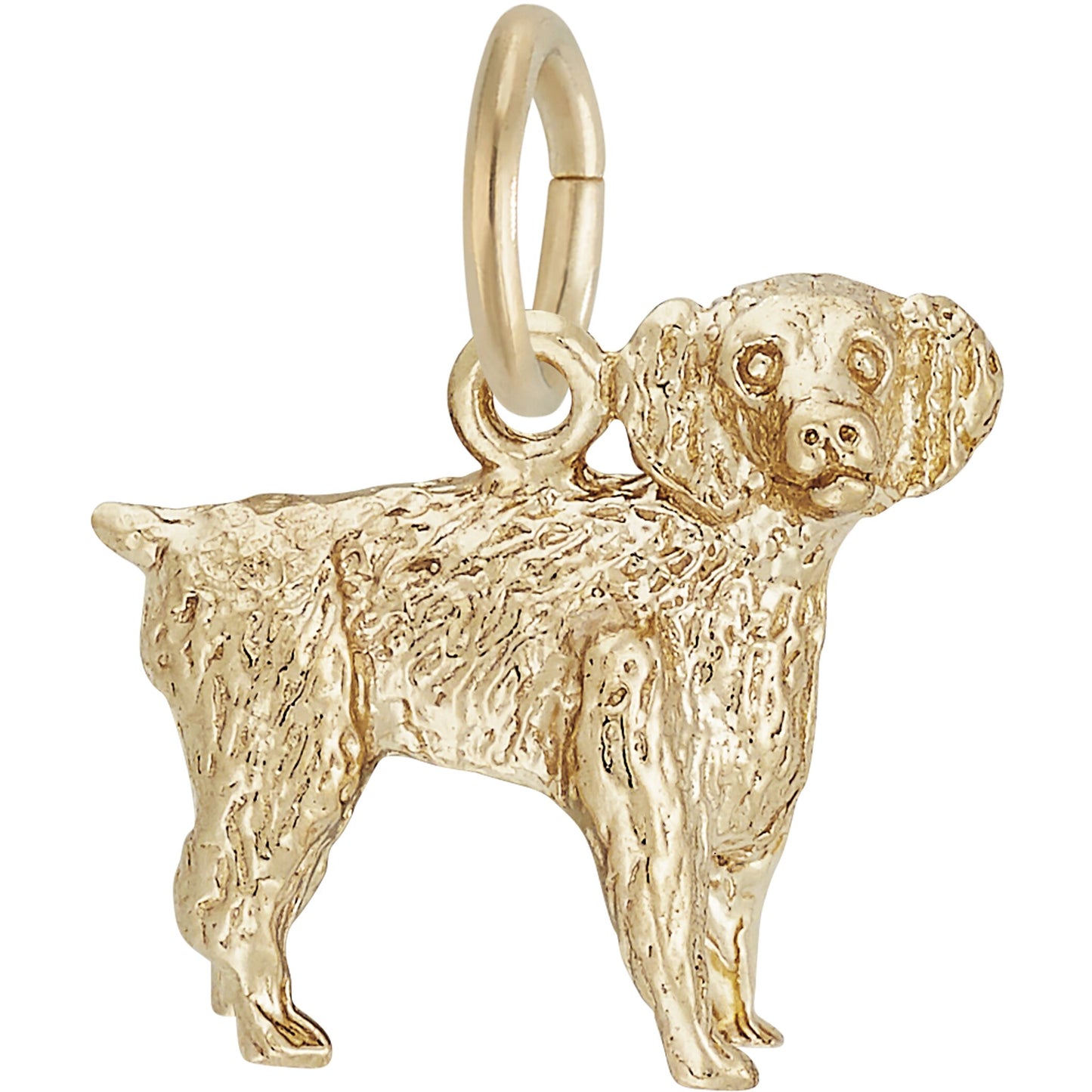 Boykin Spaniel Charm - Metal - Sterling Silver