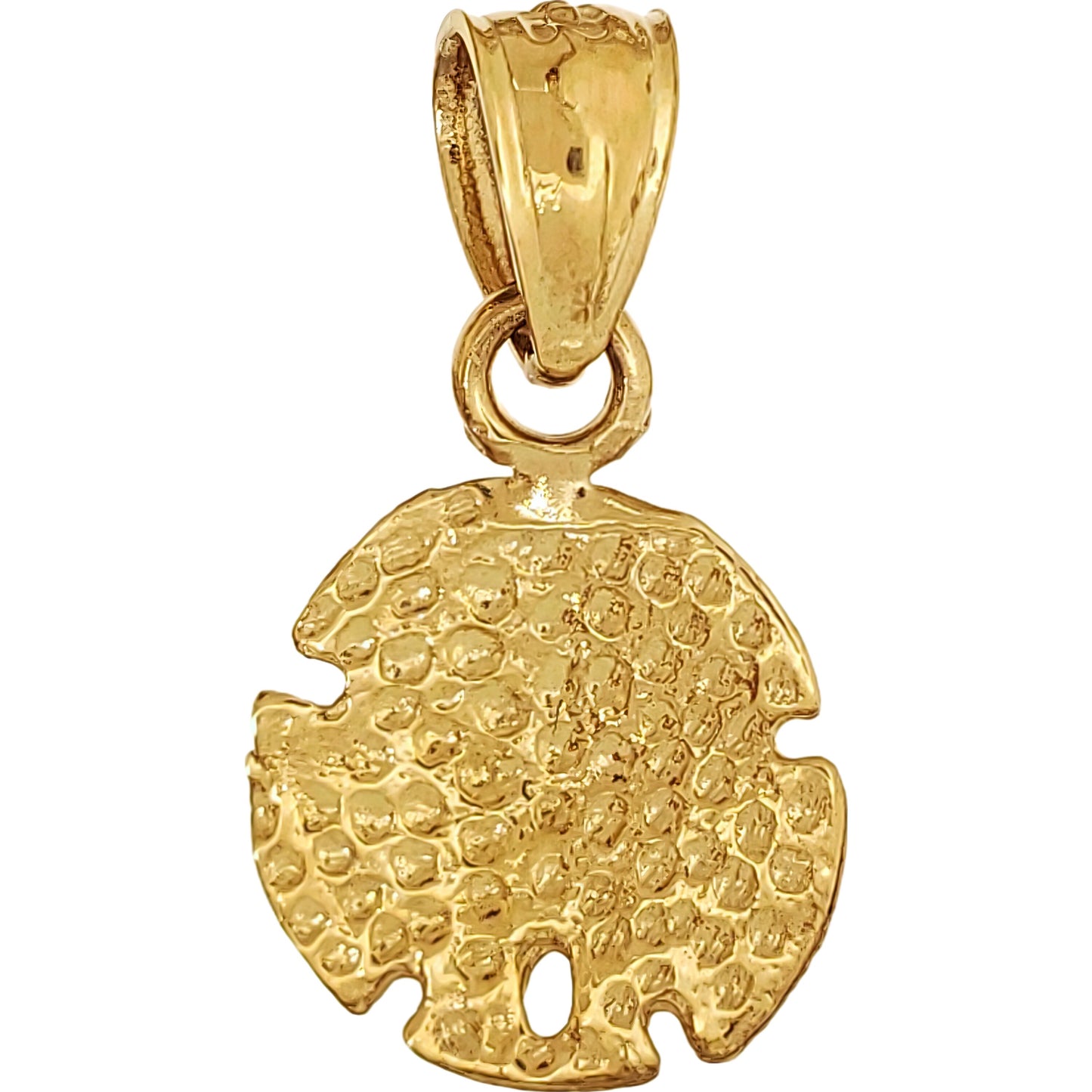 Sand Dollar Charm 14mm & 18" Chain 14k Gold