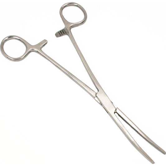 Curved Forceps Stainless Steel 8"