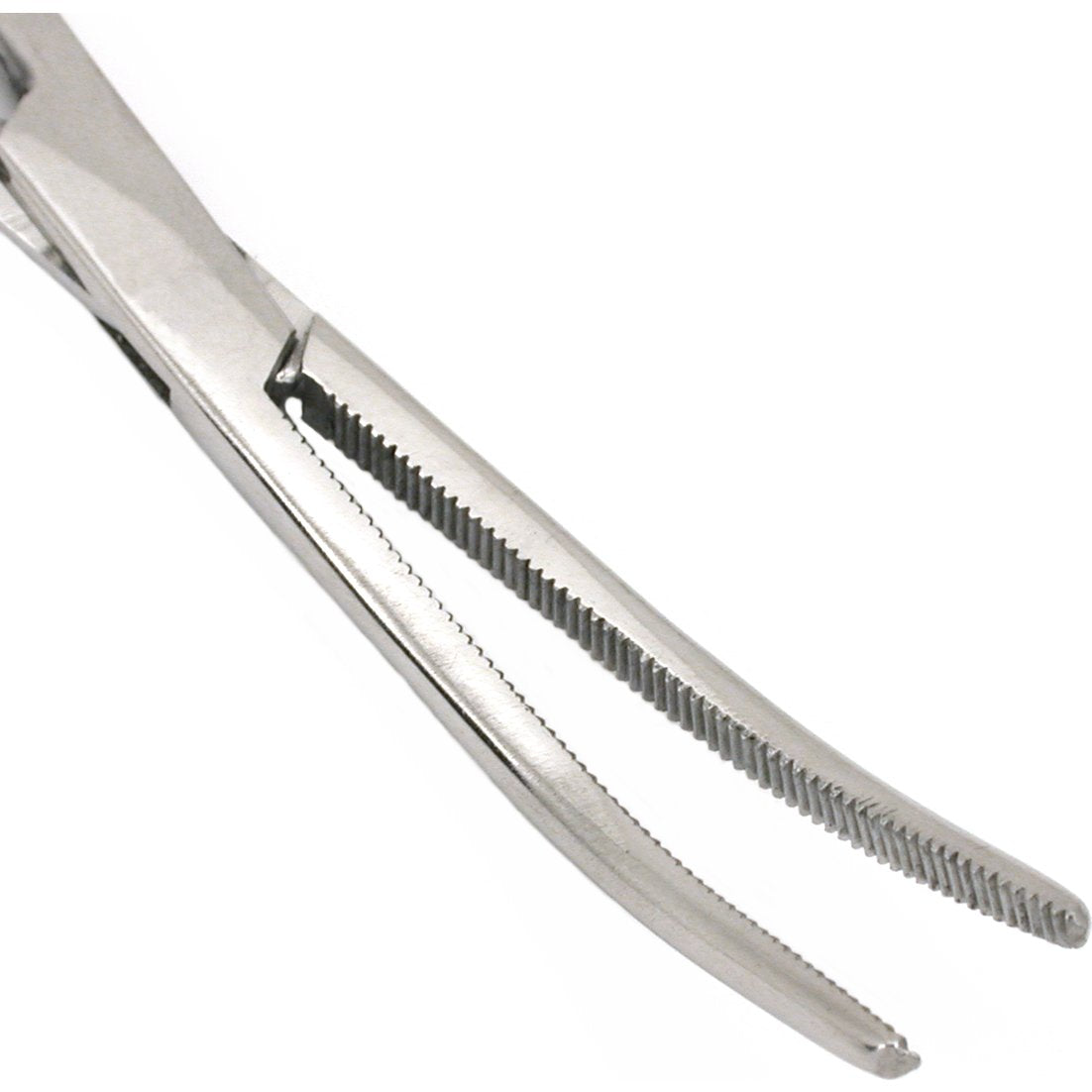 Curved Forceps Stainless Steel 8"