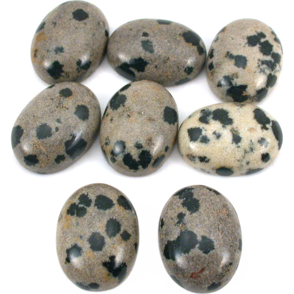 Jasper Dalmatian Oval Cabochon 16mm 8Pcs