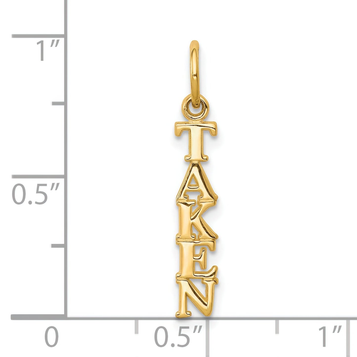 10K Yellow Gold Taken Charm