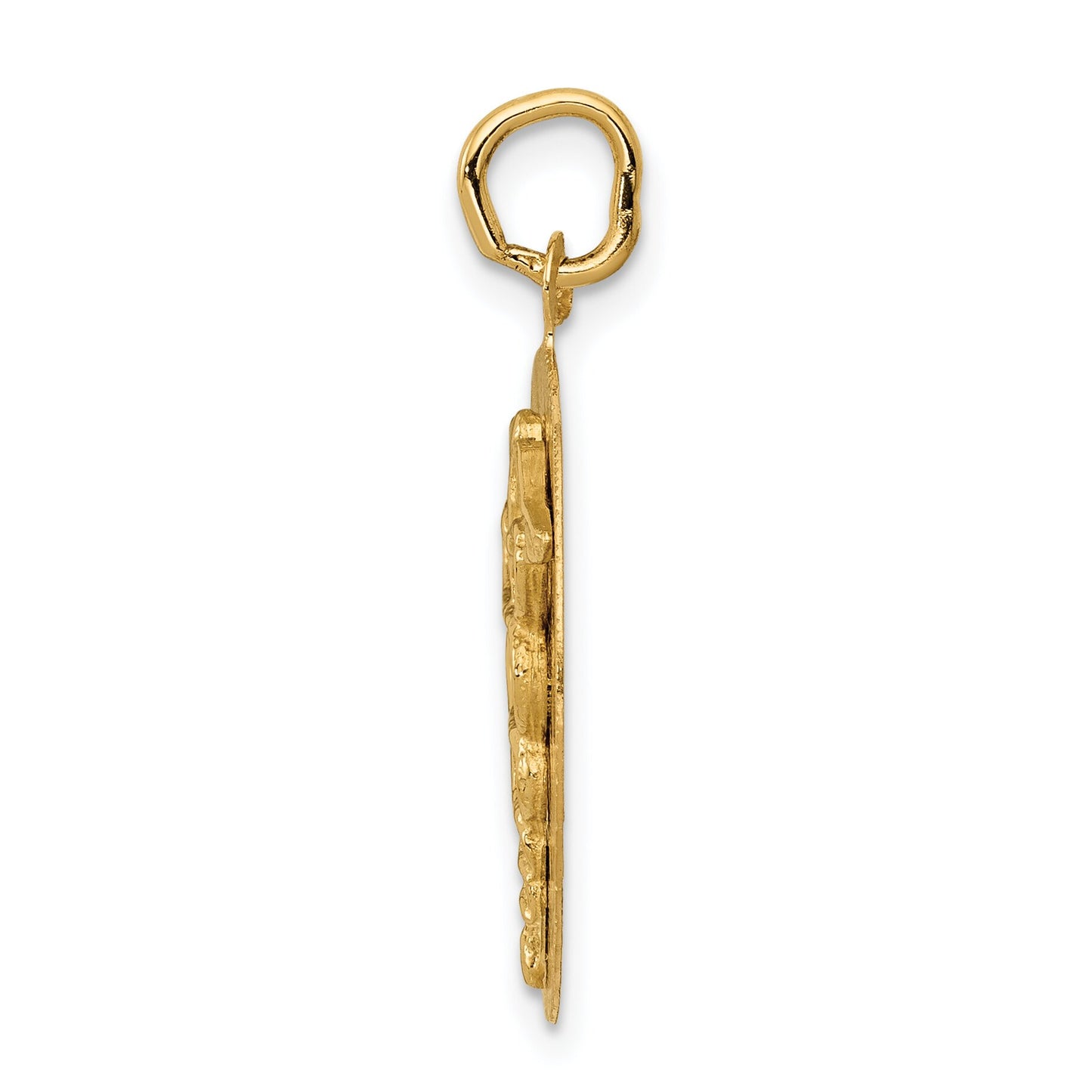 14K Yellow Gold Caduceus Disc Charm