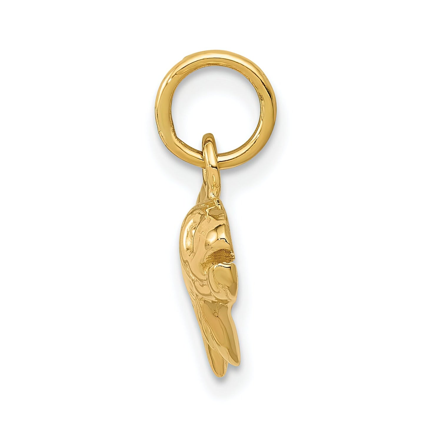 14K Yellow Gold Trout Fish Charm