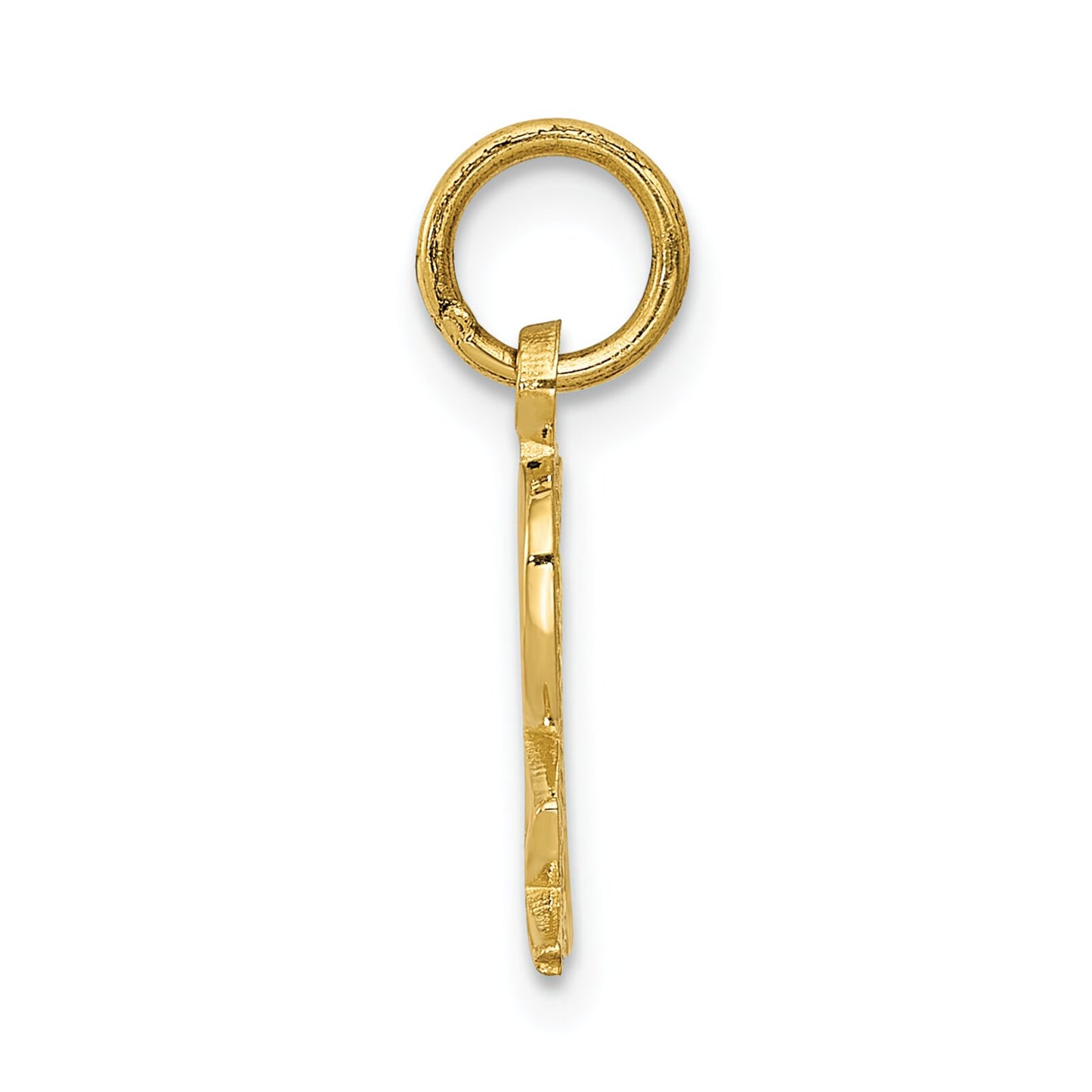 14K Gold Rx Charm