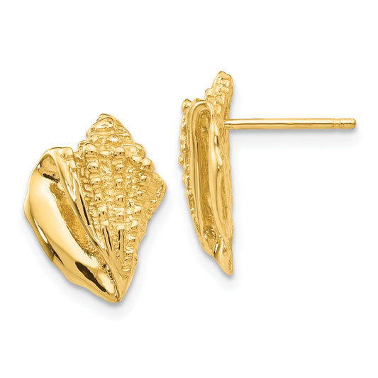 14K Gold Conch Shell Earrings