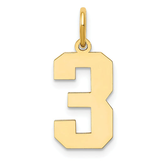 14K Gold Medium Polished Number 3 Charm