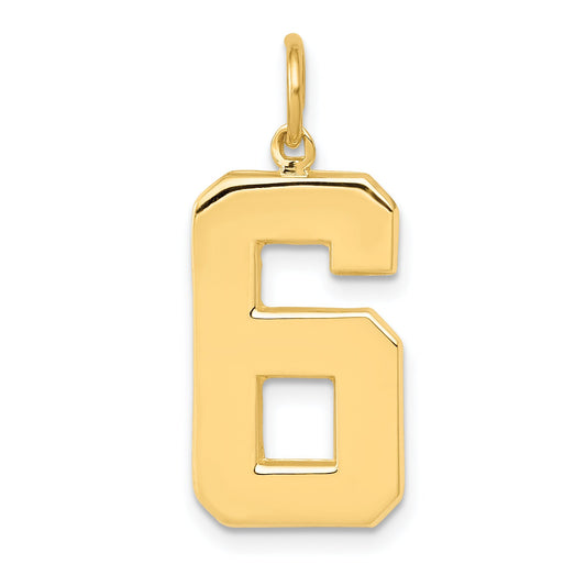 14K Gold Large Polished Number 6 Charm