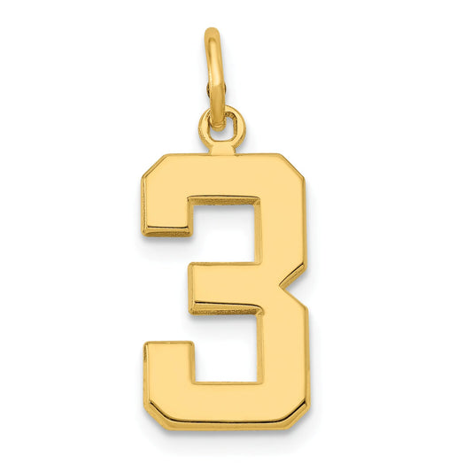 14K Gold Medium Polished Number 3 Charm