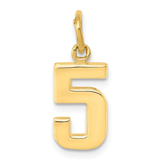 14K Gold Small Polished Number 5 Charm